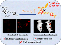 Graphical abstract: A novel near-infrared fluorescent probe for the imaging of viscosity in cells and tumor-bearing mice