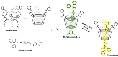 Graphical abstract: Selective enhancement of organic dye properties through encapsulation in rotaxane orientational isomers