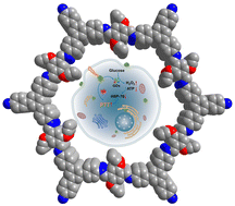 Graphical abstract: A covalent organic framework-based nanoreactor for enhanced photothermal therapy via inhibiting intracellular heat defense systems