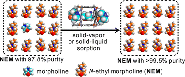 Graphical abstract: Selective adsorption of trace morpholine impurities over N-ethyl morpholine by tetralactam solids