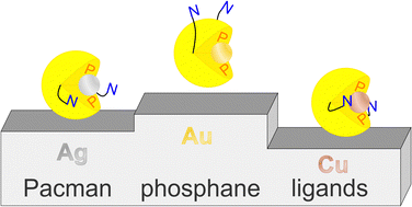 Graphical abstract: Coinage metal complexes of multidentate Pacman phosphane ligands