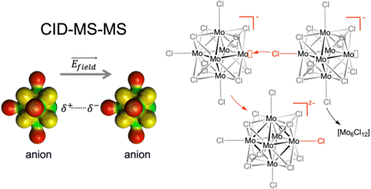 Graphical abstract: Electrophilic and nucleophilic gas phase reactivity of the Janus cluster-based anions [{Mo6Cl8}Cl5□]− (□ = lacuna)