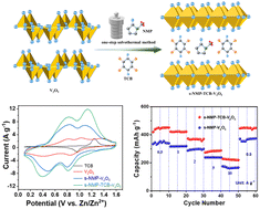 Graphical abstract: N-Methylpyrrolidone assisted tetrachlorobenzoquinone intercalating V2O5 as cathode for aqueous zinc-ion battery