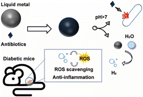 Graphical abstract: A liquid metal dressing for anti-inflammatory and anti-infection applications to treat diabetic wounds