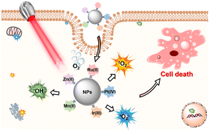 Graphical abstract: Recent progress in metal complexes functionalized nanomaterials for photodynamic therapy