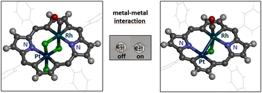 Graphical abstract: Heterobimetallic 21,23-dimetallaporphyrin: activation of metal–metal interactions within the porphyrinoid macrocycle