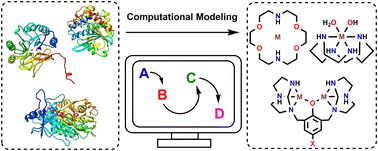 Graphical abstract: Distinct chemical factors in hydrolytic reactions catalyzed by metalloenzymes and metal complexes