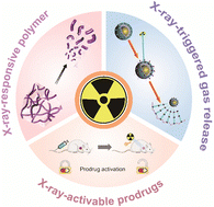 Graphical abstract: X-ray-responsive prodrugs and polymeric nanocarriers for multimodal cancer therapy
