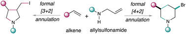 Graphical abstract: Tunable [3+2] and [4+2] annulations for pyrrolidine and piperidine synthesis