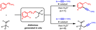 Graphical abstract: Catalytic C–H alkynylation of benzylamines and aldehydes with aldimine-directing groups generated in situ
