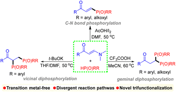 Graphical abstract: Tunable vicinal, geminal diphosphorylation and C–N bond phosphorylation of enaminones toward divergent phosphorylated ketone derivatives