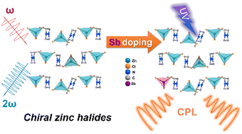 Graphical abstract: Circularly polarized luminescence and nonlinear optical harmonic generation based on chiral zinc halides