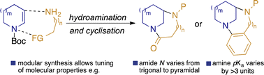 Graphical abstract: Modular synthesis of bicyclic twisted amides and anilines
