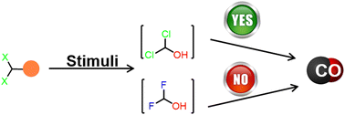 Graphical abstract: Dichloromethanol but not difluoromethanol as a viable surrogate of carbon monoxide for prodrug design