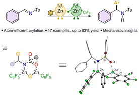 Graphical abstract: Atom-efficient arylation of N-tosylimines mediated by cooperative ZnAr2/Zn(C6F5)2 combinations