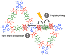 Graphical abstract: Molecular design of two-dimensional donor–acceptor covalent organic frameworks for intramolecular singlet fission