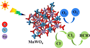 Graphical abstract: Breaking the barrier: a MnWO4 photocatalyst enables solar chlorine production from seawater without noble metals