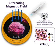 Graphical abstract: Recent advances in zinc ferrite (ZnFe2O4) based nanostructures for magnetic hyperthermia applications