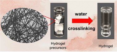 Graphical abstract: Nanofibers as precursors for the rapid formation of hydrogels