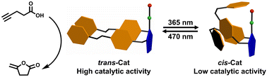 Graphical abstract: A photoresponsive gold catalyst based on azobenzene-functionalized NHC ligands