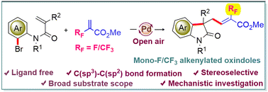 Graphical abstract: Ligand-free Pd-catalyzed double Heck reaction of N-(o-bromoaryl)acrylamides with α-F/CF3-acrylates