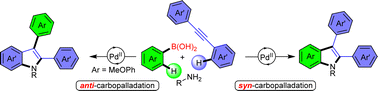 Graphical abstract: Syn- versus anti-carbopalladation of alkynes with organoborons: access to indoles symmetrically and unsymmetrically substituted on their 2,3-positions