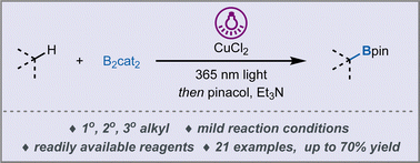 Graphical abstract: Photoinduced C(sp3)–H borylation of alkanes mediated by copper(ii) chloride