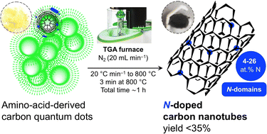 Graphical abstract: From dots to tubes – the reversed scenario of bottom-up external-catalyst-free synthesis of N-doped carbon nanotubes