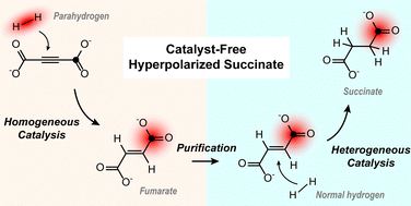 Graphical abstract: Combined homogeneous and heterogeneous hydrogenation to yield catalyst-free solutions of parahydrogen-hyperpolarized [1-13C]succinate