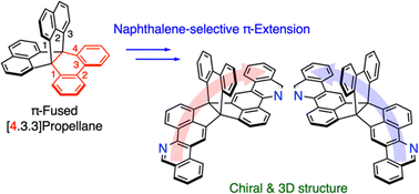 Graphical abstract: Efficient synthesis and unit-selective π-extension of π-fused [4.3.3]propellane as a chiral building block