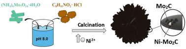 Graphical abstract: A Ni-doped Mo2C/NCF composite for efficient electrocatalytic hydrogen evolution