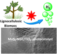Graphical abstract: MoS2@N-doped graphitic carbon/TiO2 photocatalysts for photocatalytic H2 production from lignocellulosic biomass