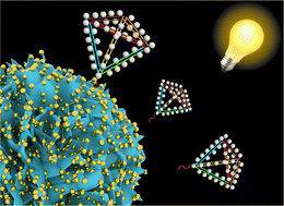 Graphical abstract: Reusable electrochemiluminescence biosensor based on tetrahedral DNA signal amplification for ultrasensitive detection of microRNAs