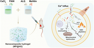 Graphical abstract: An injectable nanocomposite alginate-Ca2+ hydrogel for melittin-assisted Ca2+-overload and photothermal cancer therapy