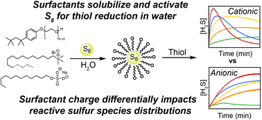 Graphical abstract: Solubilization of elemental sulfur by surfactants promotes reduction to H2S by thiols