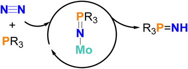 Graphical abstract: A synthetic cycle for iminophosphorane synthesis involving direct intermolecular N [[double bond, length as m-dash]] P bond formation on N2-derived molybdenum nitride