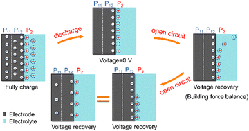 Graphical abstract: A physical model of a supercapacitor to reveal the mechanism of the voltage recovery phenomenon