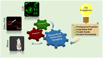 Graphical abstract: Recent advancements of fluorescent tin(iv) complexes in biomedical molecular imaging