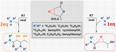 Graphical abstract: Unusual selectivity in the ring-opening of γ-valerolactone oxide by amines