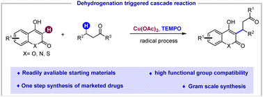 Graphical abstract: Direct synthesis of alkylated 4-hydroxycoumarin derivatives via a cascade Cu-catalyzed dehydrogenation/conjugate addition sequence