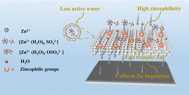 Graphical abstract: A mesoporous Al2O3 zincophilic sieve enables ultra-long lifespan of Zn-ion batteries