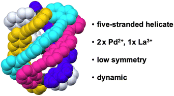 Graphical abstract: A five-stranded heterometallic helicate