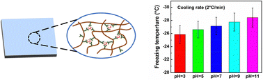 Graphical abstract: Tuning ice nucleation with pH-modulated Fe3+ cross-linked hydrogel surfaces