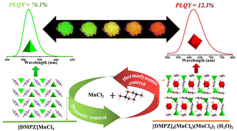 Graphical abstract: Reversible structural transformations and color-tunable emissions in organic manganese halides