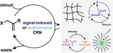 Graphical abstract: Chemical reaction networks based on conjugate additions on β′-substituted Michael acceptors