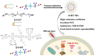 Graphical abstract: Photoactive oligomer with D–D′–A–D′–D′′–D′–A–D′–D scaffold for high-efficiency NIR-II phototheranostics