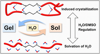 Graphical abstract: Reversible organohydrogels based on dynamic hydrogen bonding among water, dimethyl sulfoxide, and polyethylene glycol