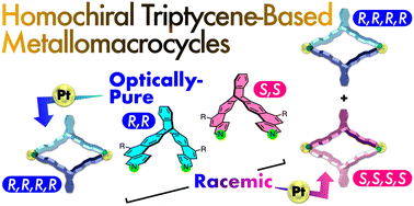 Graphical abstract: Optically-pure triptycene-based metallomacrocycles and homochiral self-sorting assisted by ladder formation