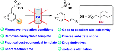 Graphical abstract: Access to distal meta-C–H functionalization of arylmethanesulfonic acid derivatives