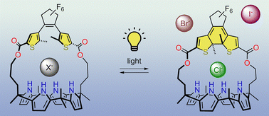 Graphical abstract: Photoswitching of halide-binding affinity and selectivity in dithienylethene-strapped calix[4]pyrrole